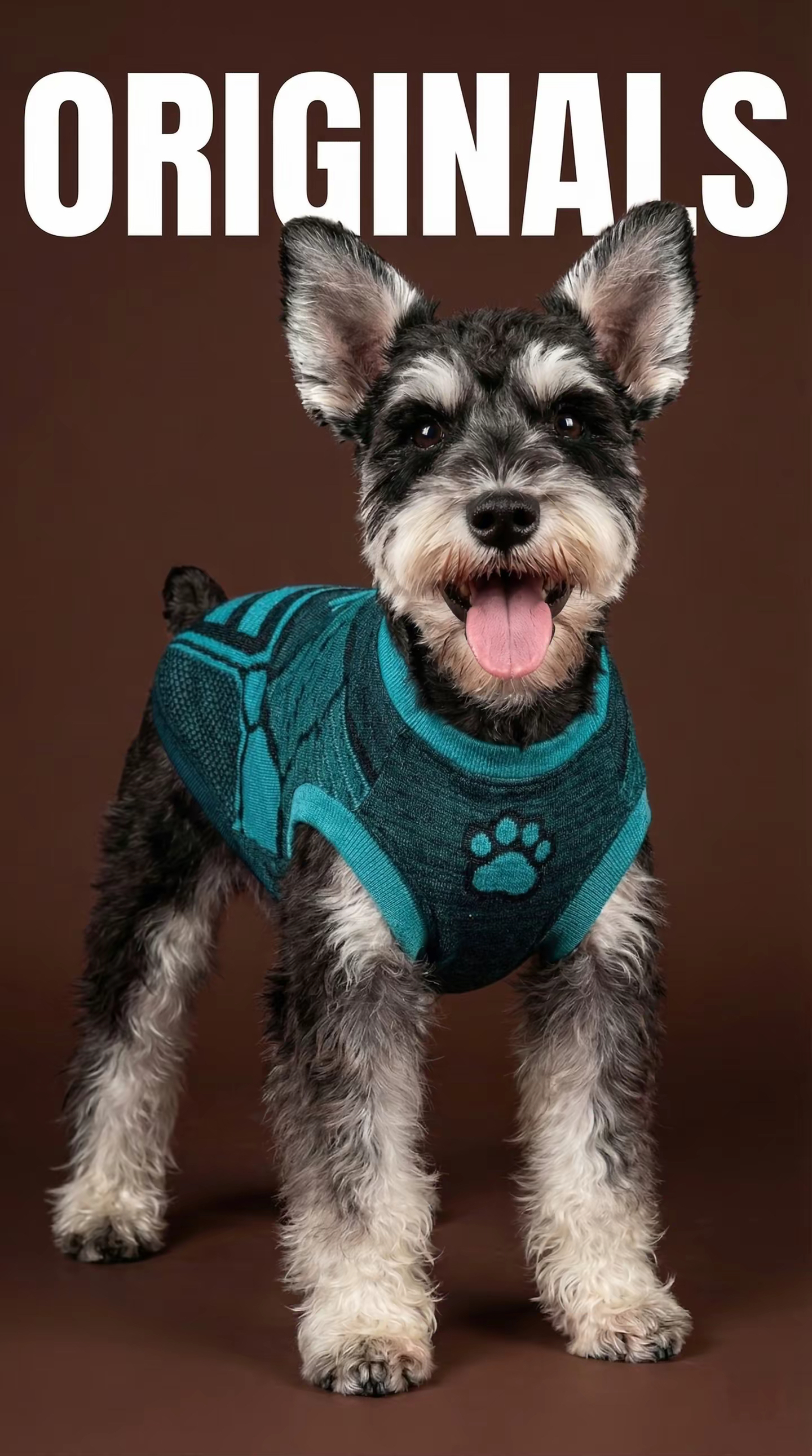 Ampliando nuestras capacidades sin costuras: presentamos prendas de punto sin costuras de alto rendimiento para mascotas